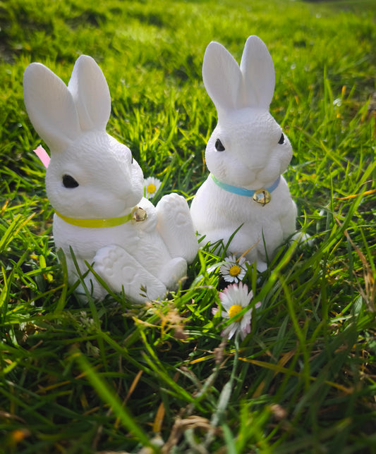 Duo statue Lapin