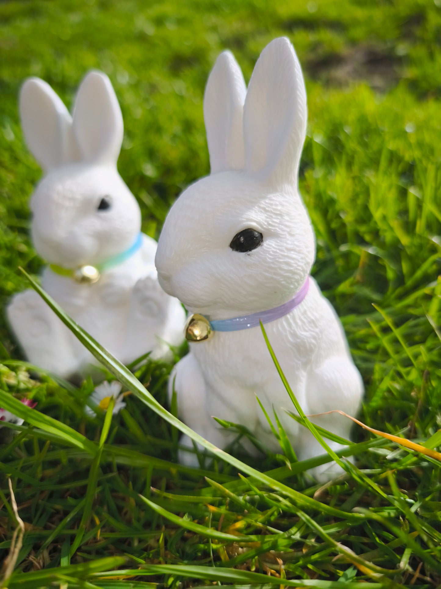 Duo statue Lapin