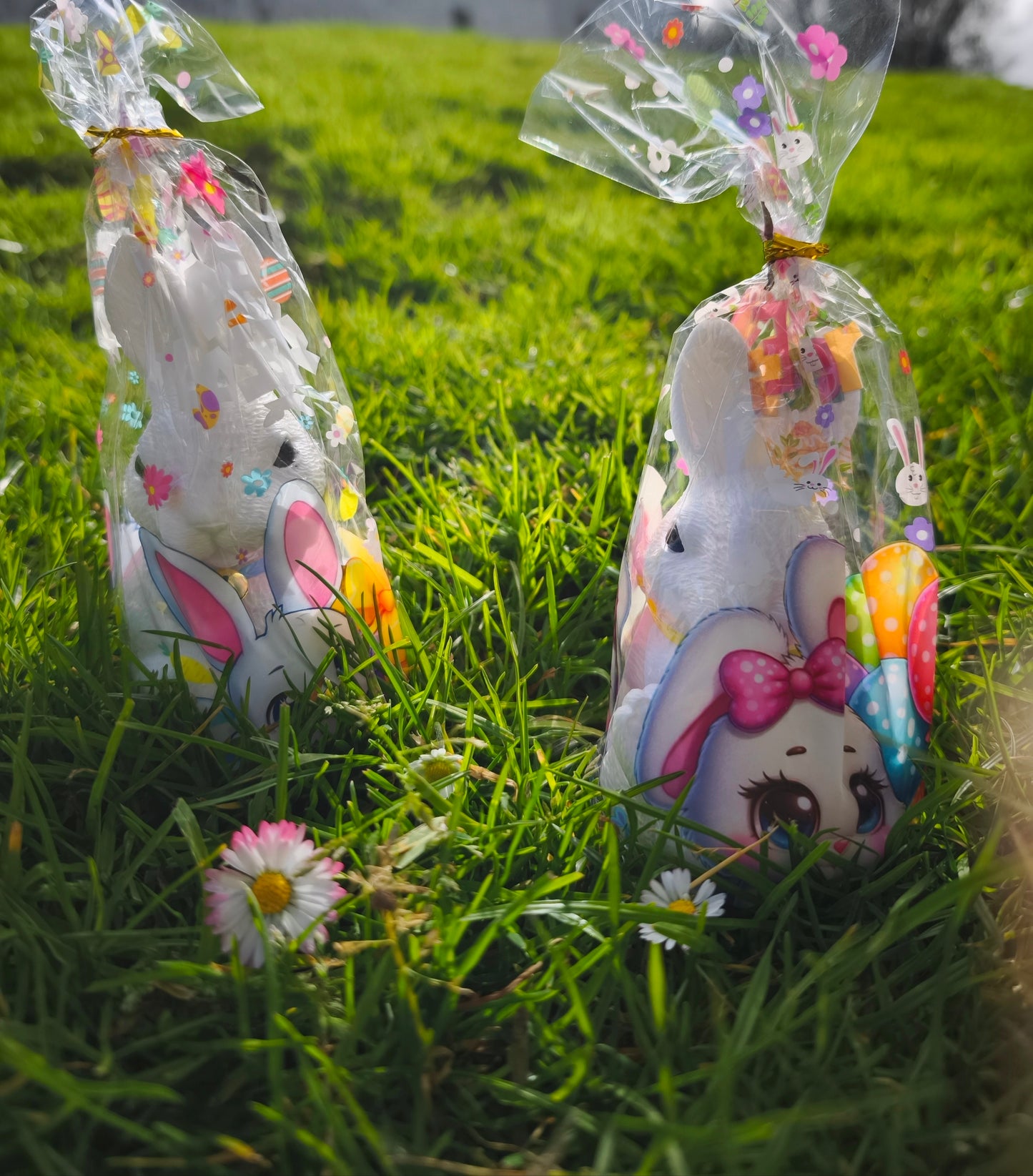 Duo statue Lapin