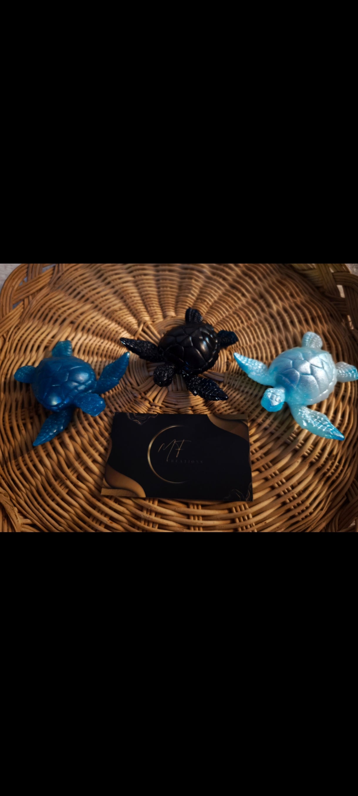 Trio tortues