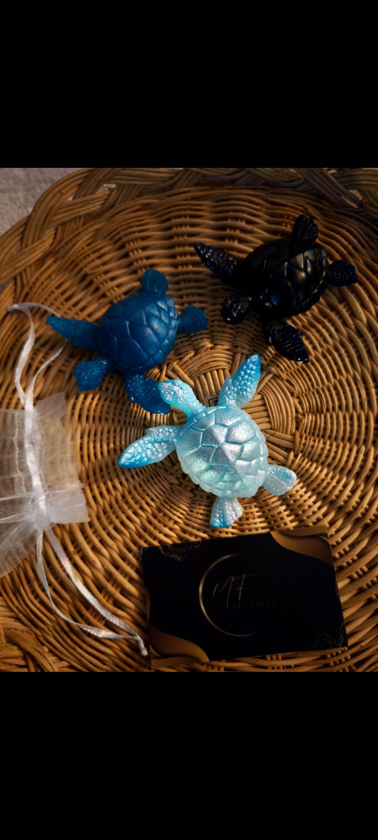 Trio tortues