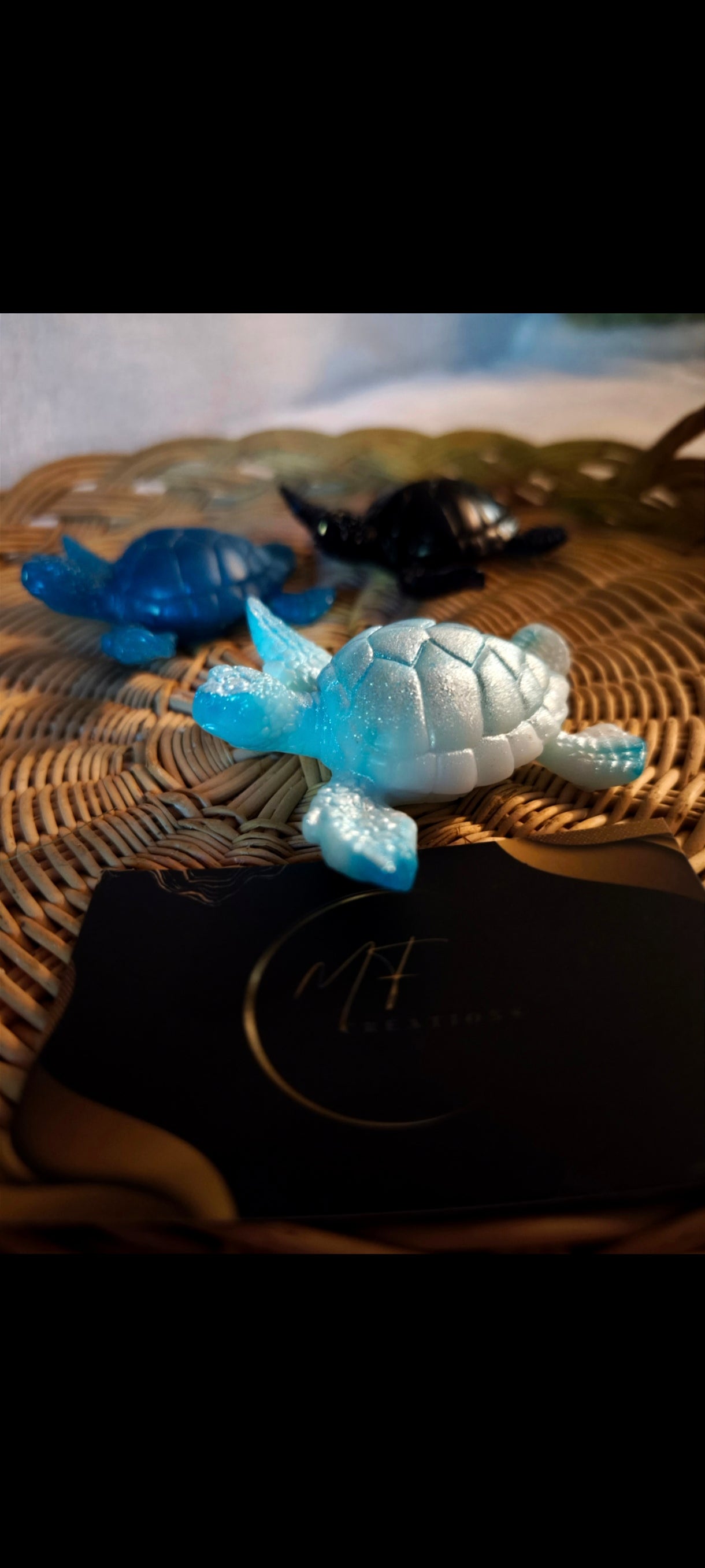 Trio tortues
