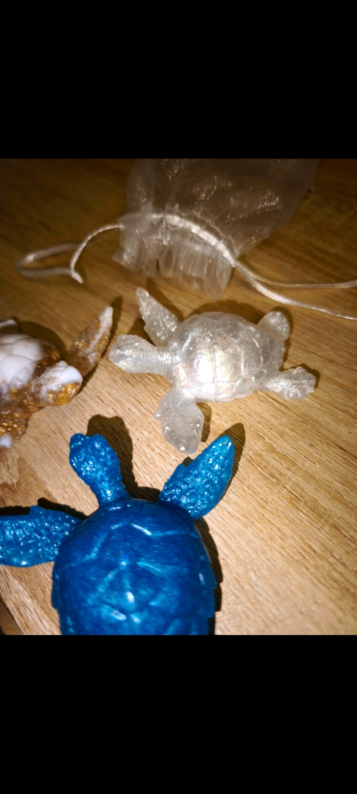Trio tortues