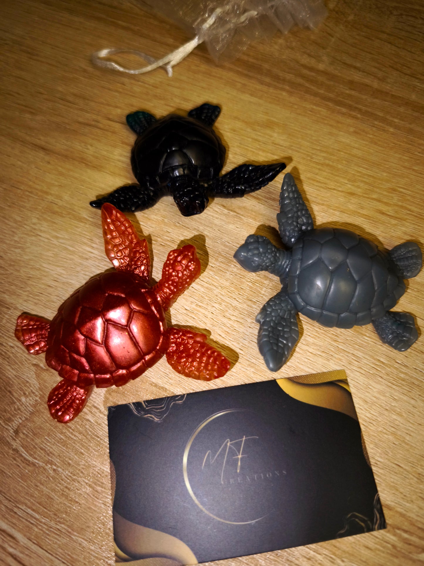 Trio tortues