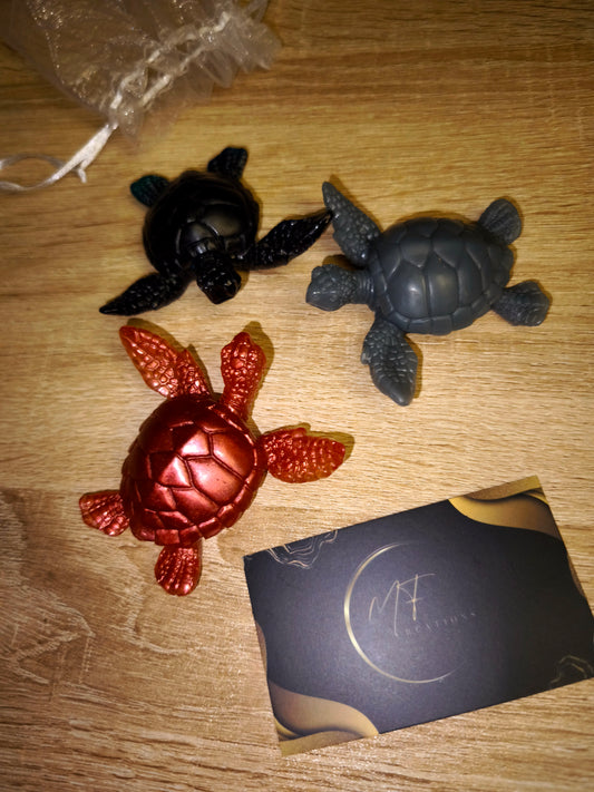 Trio tortues