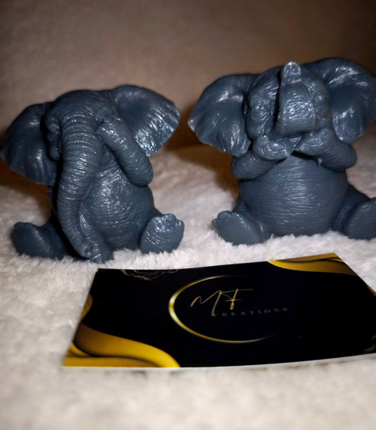 Duo éléphants