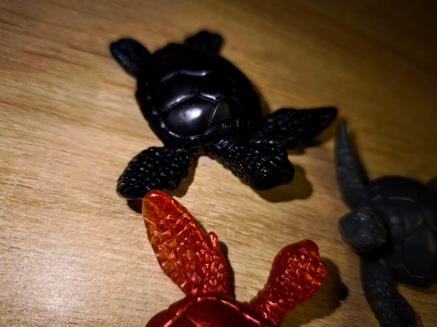 Trio tortues