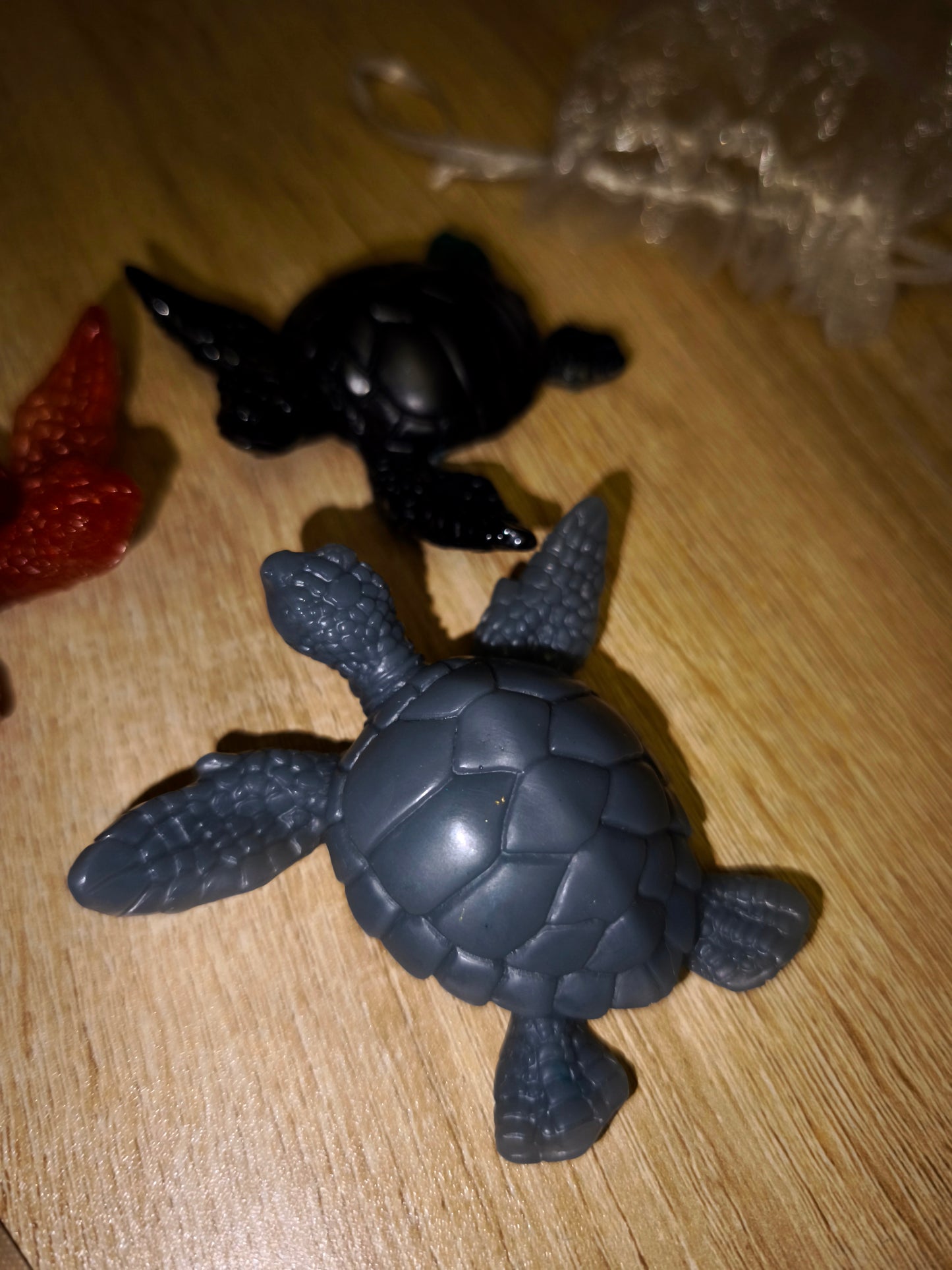 Trio tortues