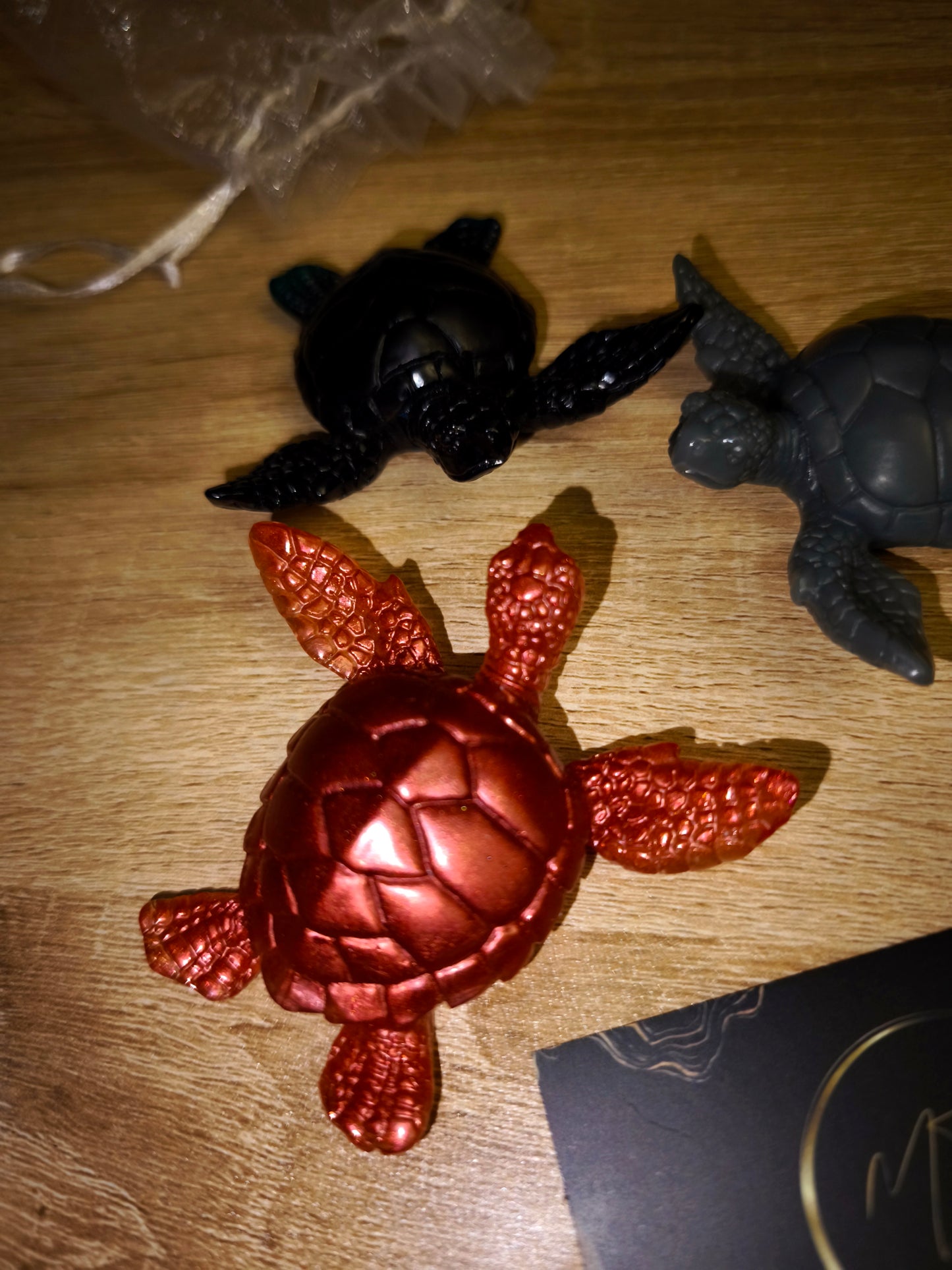 Trio tortues