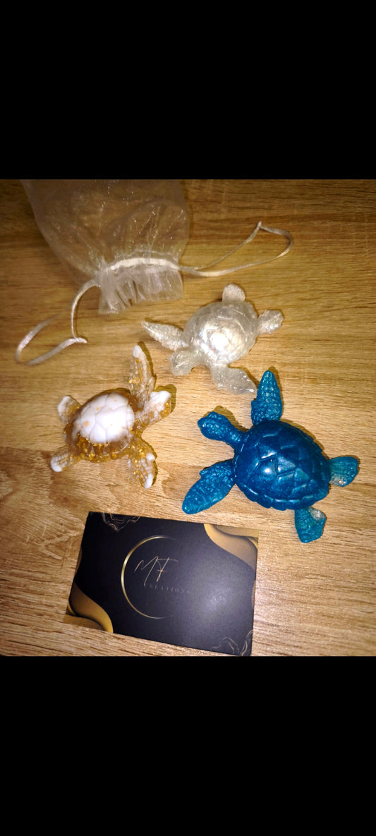 Trio tortues